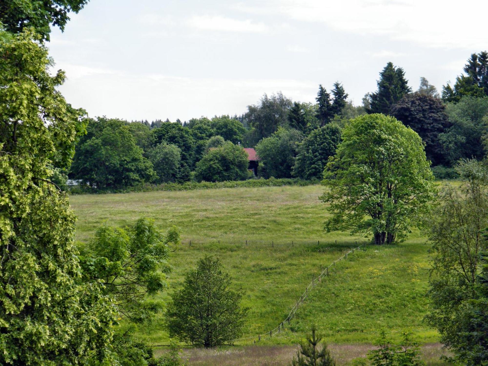 Apartments Carmen-Braunlage Eksteriør billede