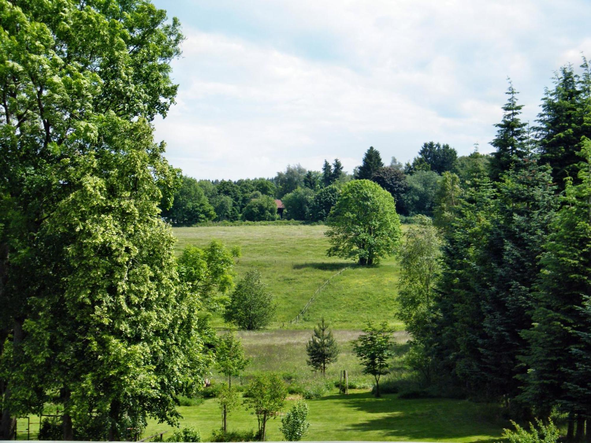 Apartments Carmen-Braunlage Eksteriør billede